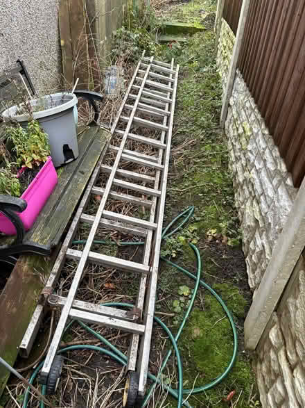 Photo of free Long double ladders (Stanhill BB5) #2