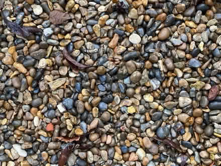Photo of free Gravel / pea shingle (SW2 - Brixton) #4