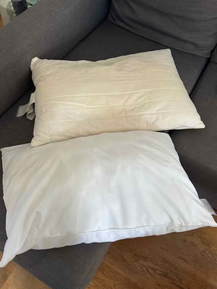 Photo of free Two pillows & double duvet (Haggerston E2) #1