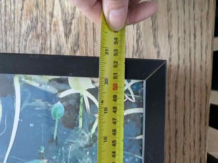 Photo of free Artwork in frame (Earwig Corner BN7) #2