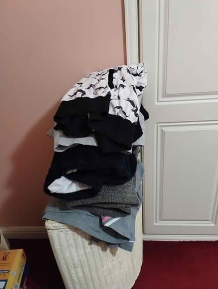 Photo of free Ladies hooded sweatshirts (Speedwell Bristol) #3