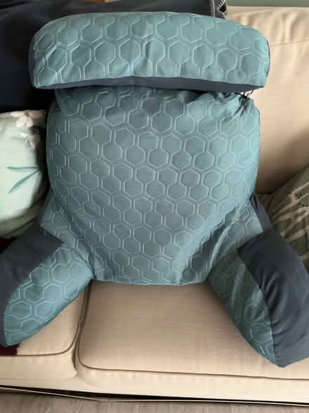 Photo of free Back support cushion (Costessey NR8) #1