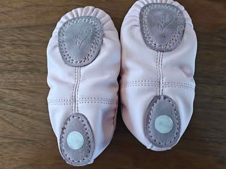 Photo of free Ballet Slippers (Near 92nd and Sheridan) #2
