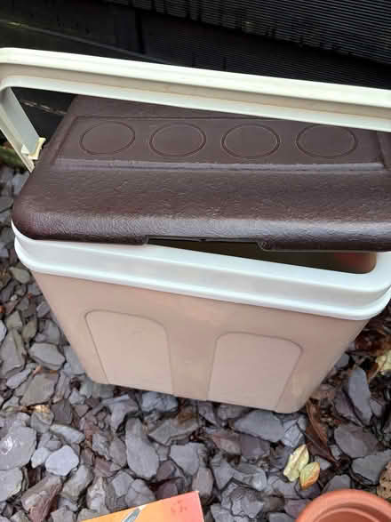 Photo of free Cool bags and box (Walshaw BL8) #2