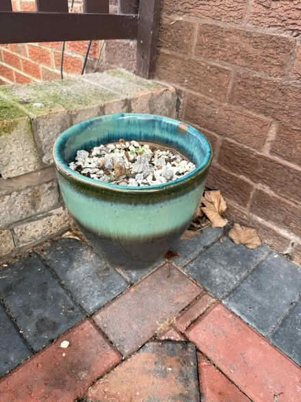 Photo of free Outdoor plant pots (Offerton SK2) #4