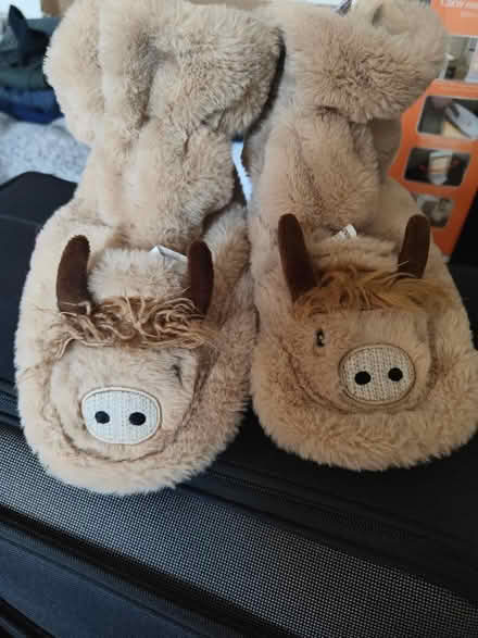Photo of free Highland cow slippers (IP2) #2