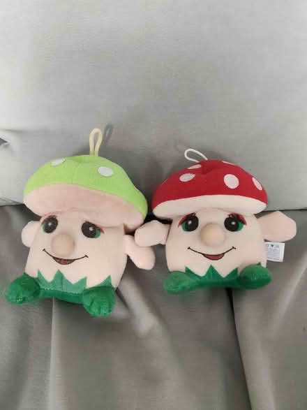 Photo of free Mushroom Plushie (Tampines) #1