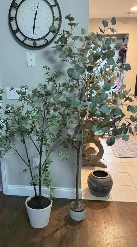 Photo of free 2 Faux Trees (410 Salem St. Heron Pond) #3
