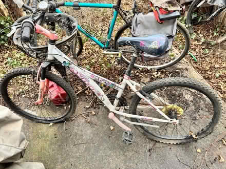 Photo of free Bikes (Woodridge (20018)) #2