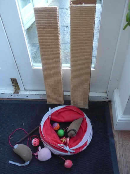 Photo of free Items for cat (Cam GL11) #1