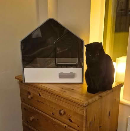 Photo of free Cat litter box (NEW) (Blackrock / Stillorgan.) #2