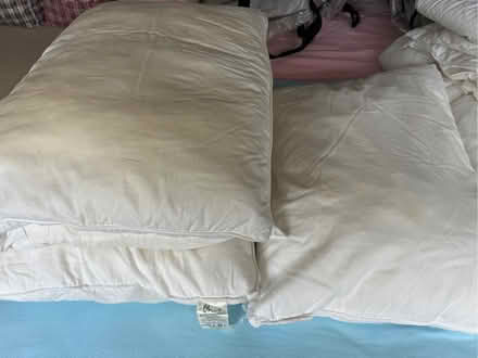 Photo of free 4 x synthetic pillows (Moseley B13) #1
