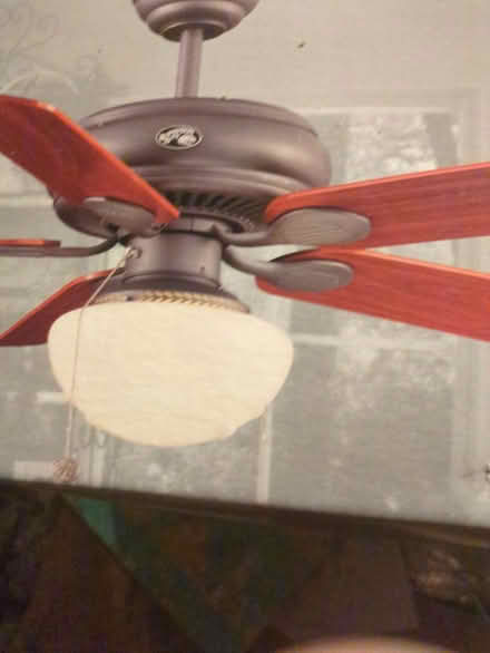 Photo of free Hampton Bay 2 light 4 ceiling fans (Leonardo/Middletown) #2