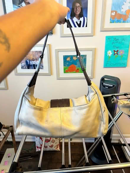 Photo of free Kenneth Cole bag (milton, derry and scottl) #2