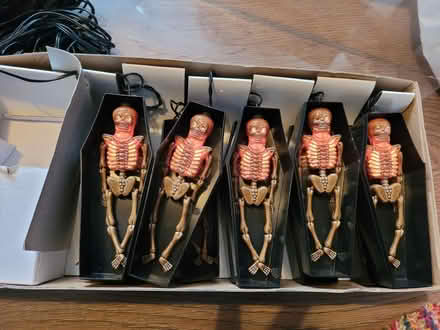 Photo of free Halloween lights (Charnock S12) #3