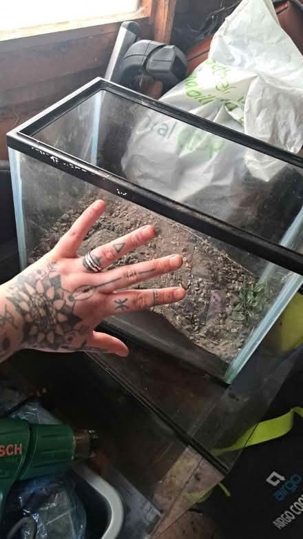 Photo of free Small fish tank (Markfield LE6) #1