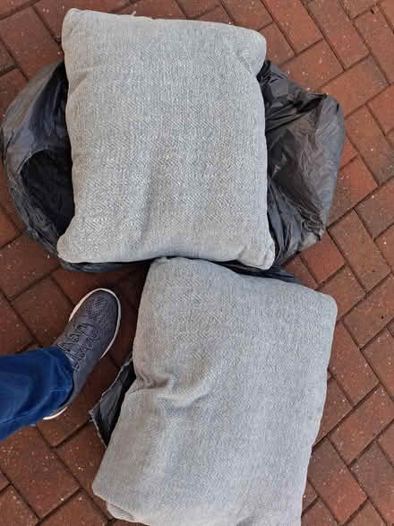 Photo of free Cushions (Southam CV47) #1