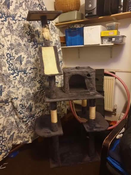 Photo of free Tall cat tree (Bevendean crescent BN2) #1