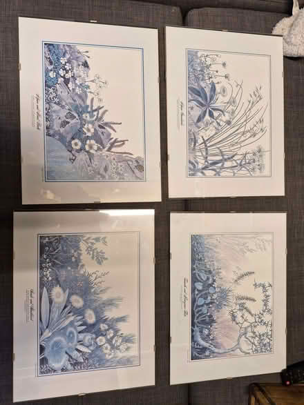 Photo of free Clip frames (Great Baddow CM2) #1