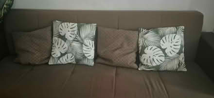 Photo of free 3 pillow - 2 brown 1 green (North Finchley N3) #1