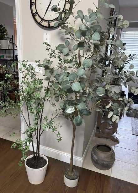 Photo of free 2 Faux Trees (410 Salem St. Heron Pond) #1