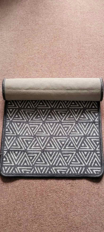 Photo of free Runner (Wokingham, RG41) #1