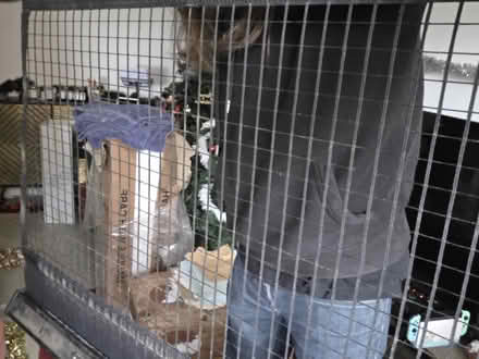 Photo of free Car divider (Swindon Village GL51) #2