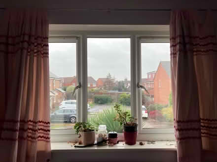 Photo of free Pink curtains (Oulton LS26) #1