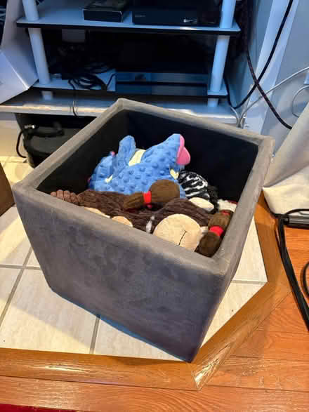 Photo of free 2 storage cubes/extra seating (Mercer Island) #4