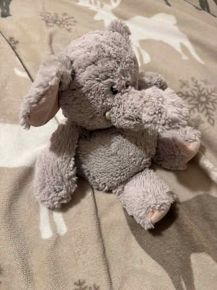 Photo of free Elephant Wheat Bag (Penrith CA11) #1