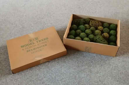 Photo of free Model Trees (Goldington MK41) #1