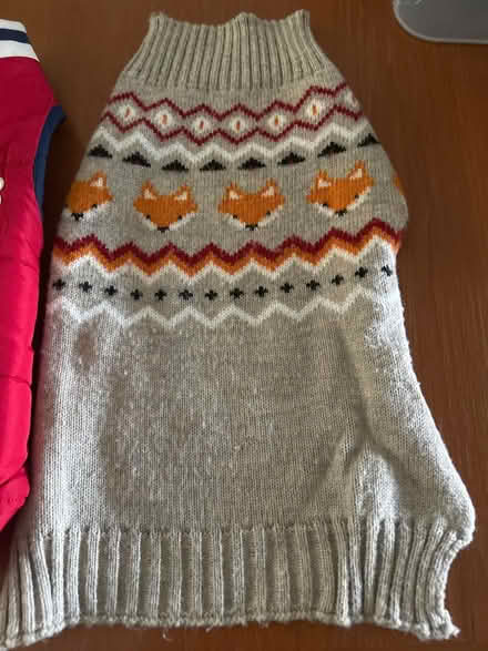 Photo of free Dog coat & jumper (Hastings. Broom grove TN34) #3
