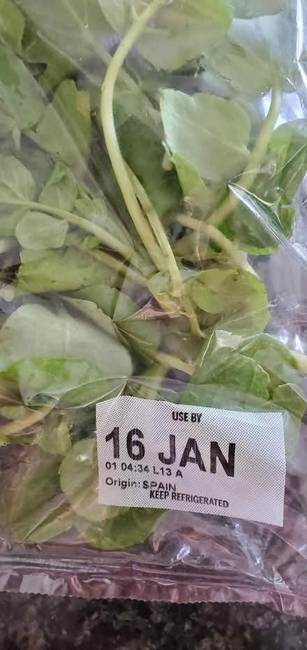 Photo of free Watercress (Ig5) #2