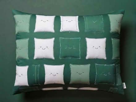 Photo of free 3 Cushion inserts (The Nurserylands TW12) #1