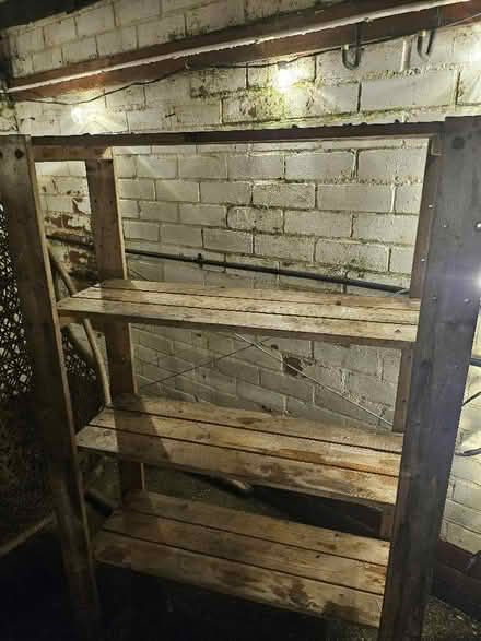 Photo of free Shelves (Cullercoats NE30) #1