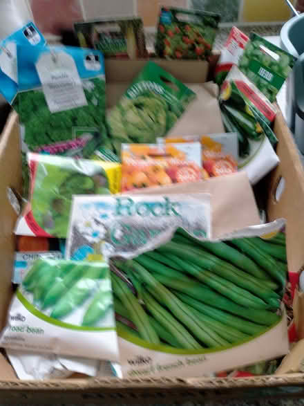 Photo of free bundle of fruit/veg/flower (Erdington B24) #1