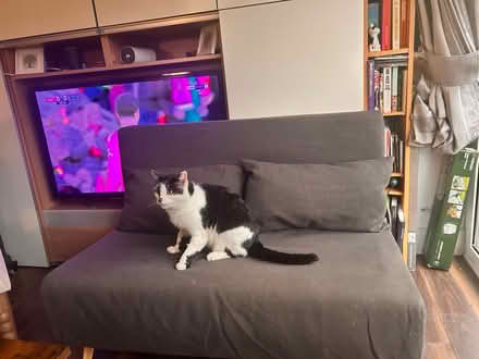 Photo of free Grey futon (Shankill, Dublin 18) #2