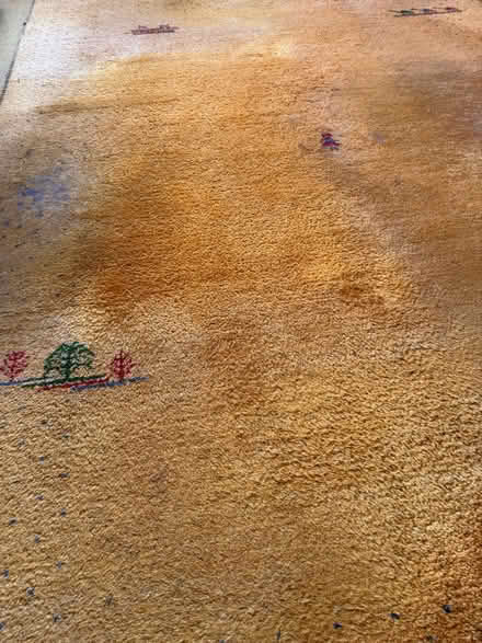 Photo of free IKEA wool rug (North Halifax) #3