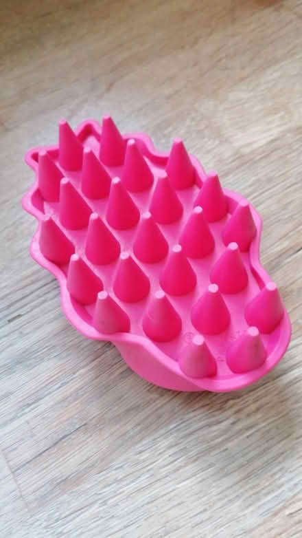 Photo of free Dog brush (KT2 Lancaster Gardens) #1