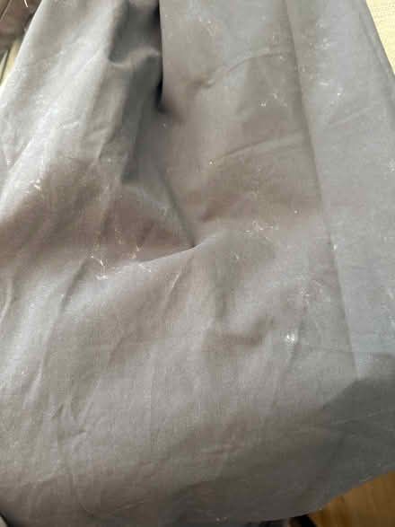 Photo of free Grey curtains (Carshalton) #3