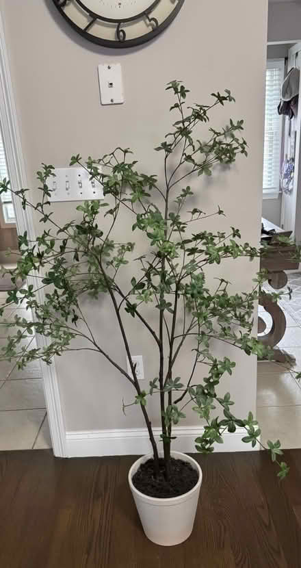 Photo of free 5ft Faux Tree plant (Wakefield) #1