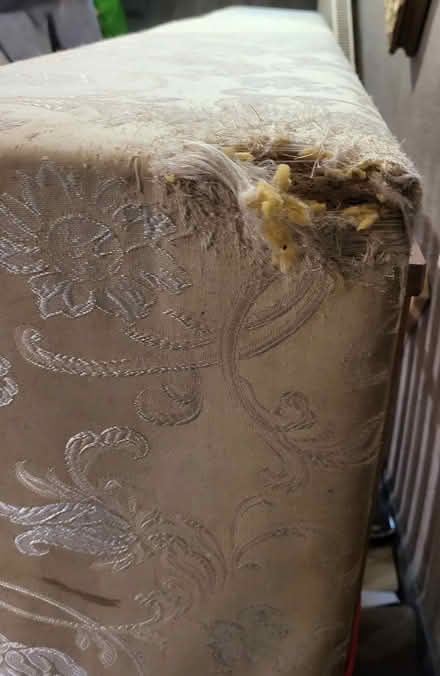 Photo of free Electric single bed (Lancing) #2