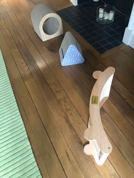 Photo of free 3 cat scratchers (Wimbledon Common SW19) #2