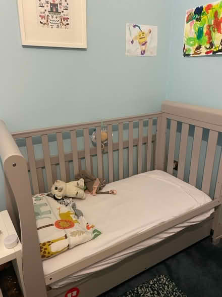 Photo of free Cot (Wood Green N22) #2