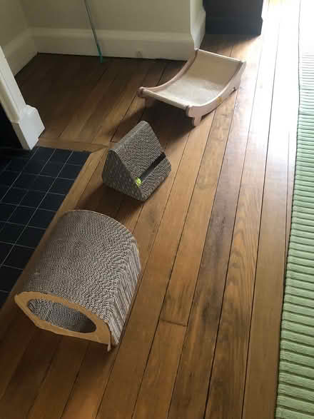 Photo of free 3 cat scratchers (Wimbledon Common SW19) #1