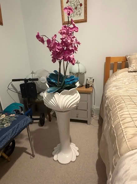 Photo of free Jardinere (Swanage BH19) #1