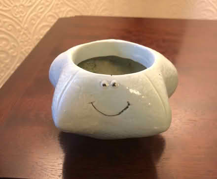 Photo of free Small starfish shaped plant pot (Sale M33) #1