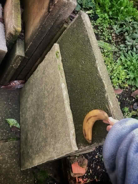 Photo of free Council Paving Slabs (Manor House CV2) #2