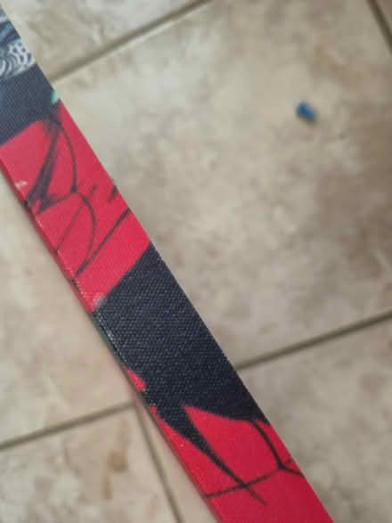 Photo of free Spiderman canvas (Stanley Common DE7) #2