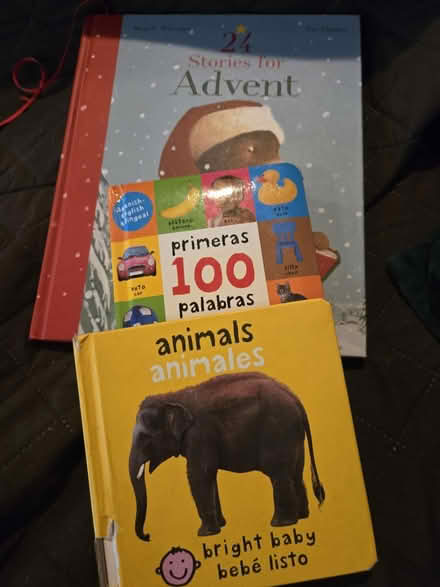 Photo of free Toddler toys & books (Downtown Mountain View) #3